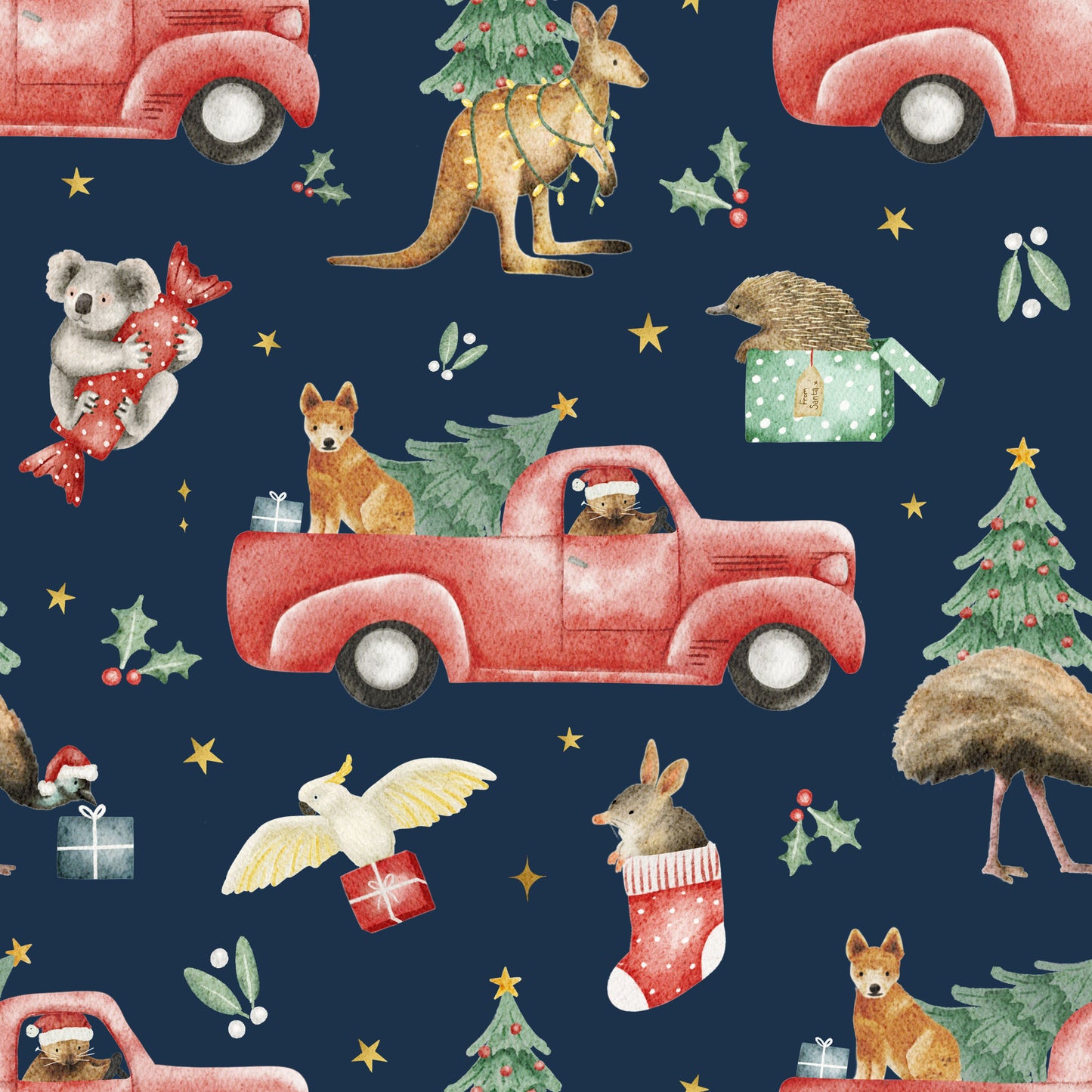 Aussie Christmas Tee