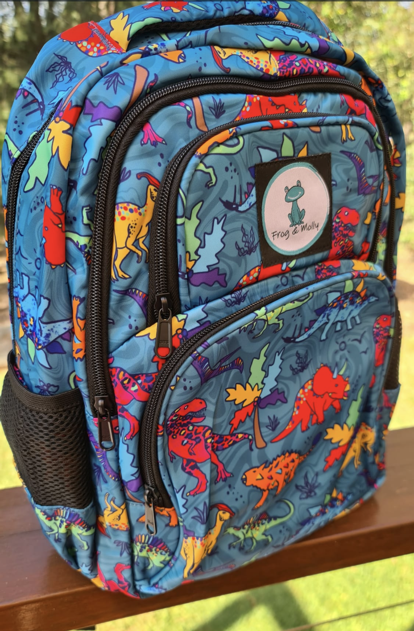 Dinosaur Backpack Rainbow Dino s Frog and Molly