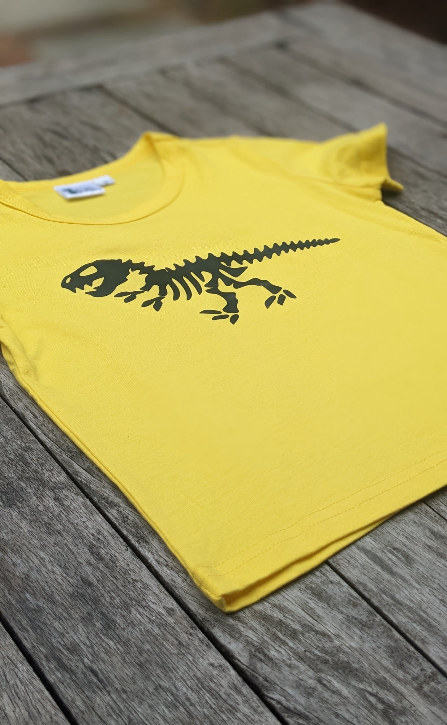 Kids T-Shirt/Tee - Dinosaur